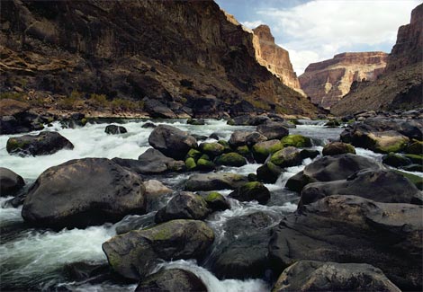 colorado-river-fiume-arizona-foto