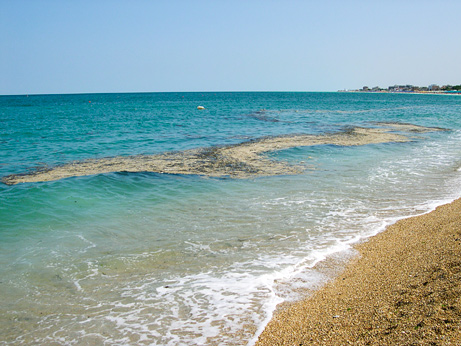 mucillaggine-spiaggia-adriatico