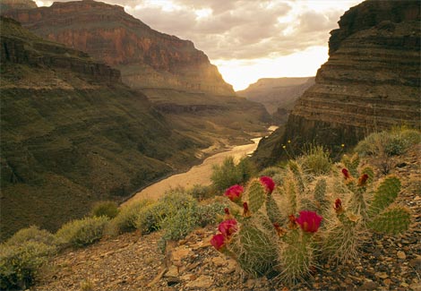 valle-grand-canyon-foto