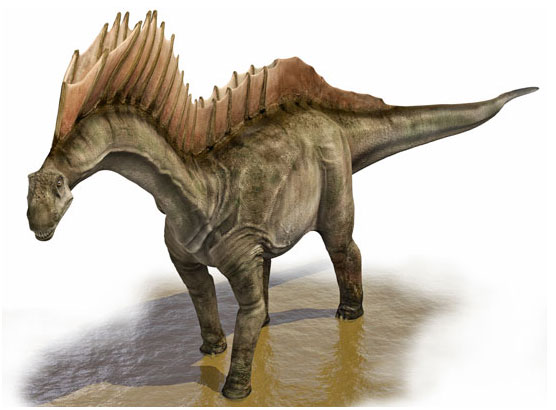 AMARGASAURUS-foto-dinosauro