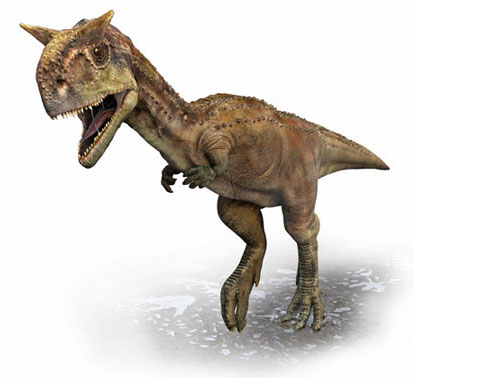 CARNOTAURUS-foto-dinosauro