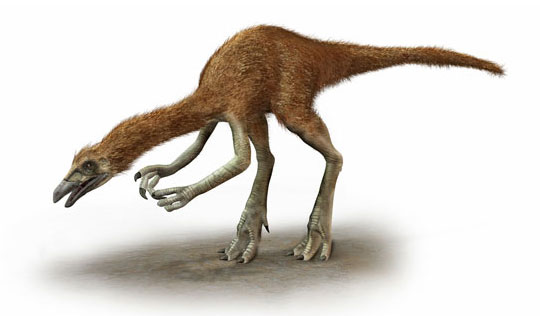 DEINOCHEIRUS-foto-dinosauro