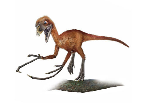 EPIDENDROSAURUS-foto-dinosauro