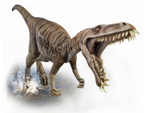 MASIAKASAURUS-foto-dinosauro