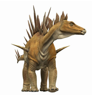 TUOJIANGOSAURUS-foto-dinosauro