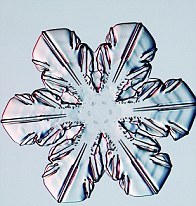 fiocchi-cristalli-di-neve-foto-01