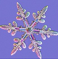 fiocchi-cristalli-di-neve-foto-10