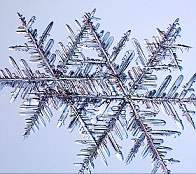fiocchi-cristalli-di-neve-foto-15