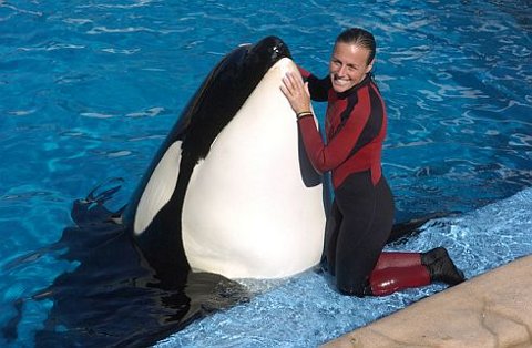killerwhaletrainer-Dawn-Brancheau-foto-pic-orca