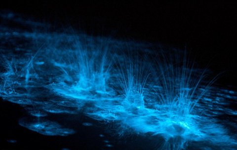 lago-bioluminescenza-foto-03.jpg