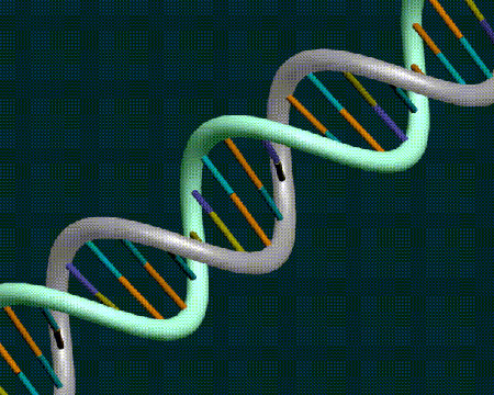 catena-dna-cromosomi