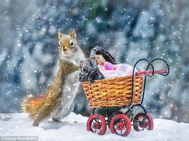 foto-scoiattoli-